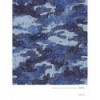 ABSTRACT CAMOUFLAGE TEXTURES VOL 1(INCLUYE DVD)