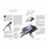 100 WAYS TO DRAW A BIRD MAKE A LIVING FROM ILLUSTRATION